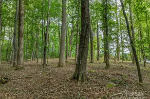 644 Walnut Valley Pkwy, Arden, NC 28704 - Photo 12