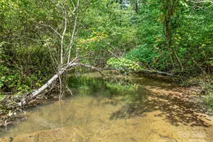 644 Walnut Valley Pkwy, Arden, NC 28704 - Photo 24