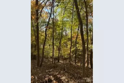 300 Rivercliff Drive, Stony Point, NC 28678 - Photo 4