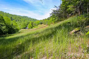 000 Cook Cove Rd, Weaverville, NC 28787 - Photo 22