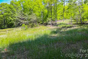 000 Cook Cove Rd, Weaverville, NC 28787 - Photo 28