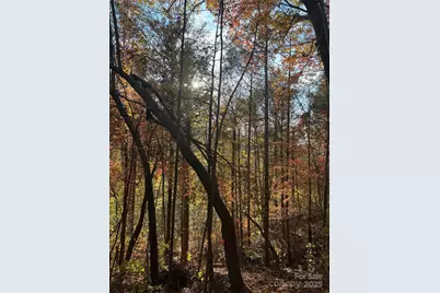 000 Cook Cove Road #2, Weaverville, NC 28787 - Photo 34