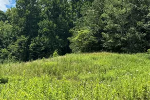 000 Cook Cove Rd, Weaverville, NC 28787 - Photo 34