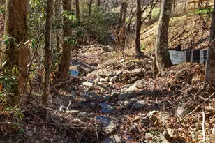 000 Cook Cove Rd, Weaverville, NC 28787 - Photo 26