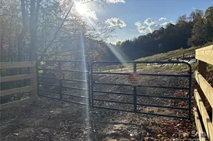 000 Cook Cove Rd, Weaverville, NC 28787 - Photo 36