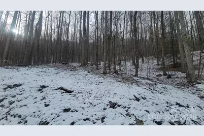 Lot 7B Hickory Springs Road #7B, Burnsville, NC 28714 - Photo 12