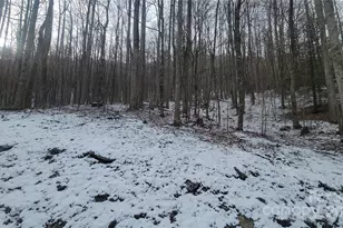 Lot 7B Hickory Springs Rd, Burnsville, NC 28714 - Photo 12