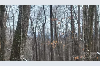 Lot 7B Hickory Springs Road #7B, Burnsville, NC 28714 - Photo 8