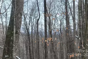 Lot 7B Hickory Springs Rd, Burnsville, NC 28714 - Photo 8