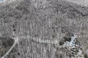 Lot 7B Hickory Springs Rd, Burnsville, NC 28714 - Photo 24