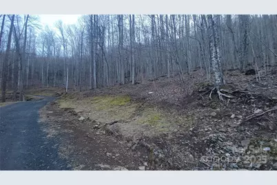 Lot 7B Hickory Springs Road #7B, Burnsville, NC 28714 - Photo 4