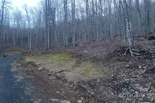 Lot 7B Hickory Springs Rd, Burnsville, NC 28714 - Photo 4