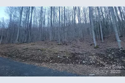 Lot 7B Hickory Springs Road #7B, Burnsville, NC 28714 - Photo 14