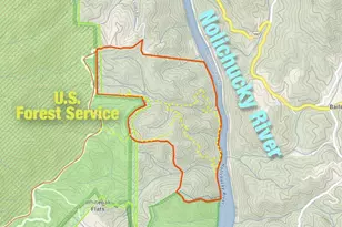 2736 White Oak Flats Rd, Green Mountain, NC 28740 - Photo 44