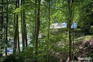 2736 White Oak Flats Rd, Green Mountain, NC 28740 - Photo 28