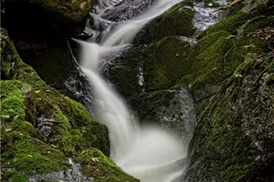 2736 White Oak Flats Rd, Green Mountain, NC 28740 - Photo 36