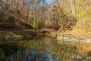 2736 White Oak Flats Rd, Green Mountain, NC 28740 - Photo 6