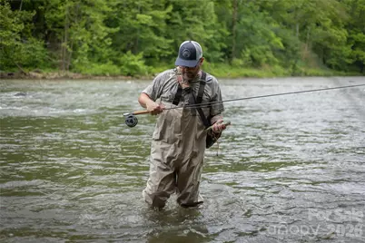 2736 White Oak Flats Road, Green Mountain, NC 28740 - Photo 8