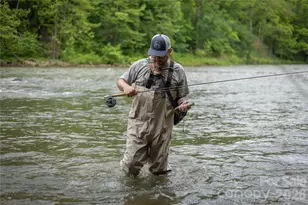 2736 White Oak Flats Rd, Green Mountain, NC 28740 - Photo 8