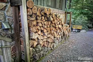 2736 White Oak Flats Rd, Green Mountain, NC 28740 - Photo 12