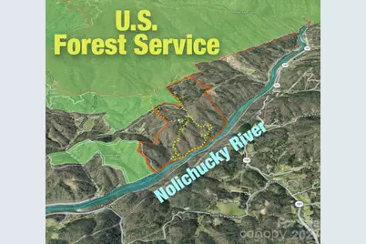 2736 White Oak Flats Road, Green Mountain, NC 28740 - Photo 4