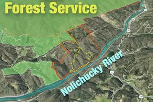 2736 White Oak Flats Rd, Green Mountain, NC 28740 - Photo 4