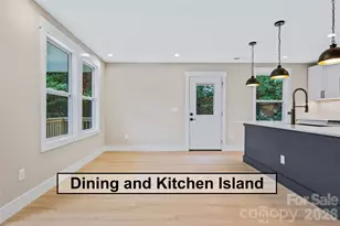 14 Knox Rd, Black Mountain, NC 28711 - Photo 10