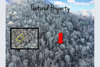 Tbd Vireo Lane, Waynesville, NC 28785 - Photo 2