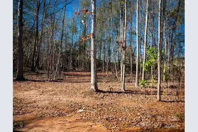 213 Mountain View Street, Forest City, NC 28043 - Photo 28