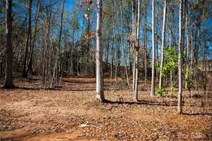 213 Mountain View St, Forest City, NC 28043 - Photo 28