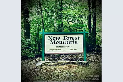 0 Shoal Ridge #1, Union Mills, NC 28167 - Photo 20