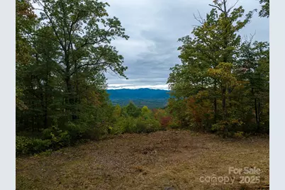 0 N Tranquility Trail #41, Union Mills, NC 28167 - Photo 8