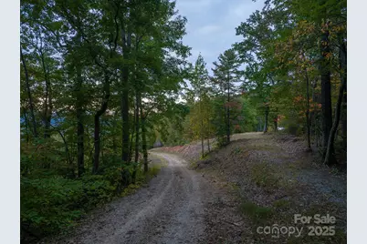0 The Falls Road #3, Union Mills, NC 28167 - Photo 6