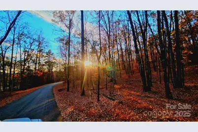 0 The Falls Road #1, Union Mills, NC 28167 - Photo 10