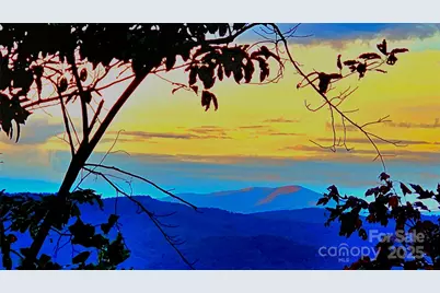 0 The Falls Road #2, Union Mills, NC 28167 - Photo 6