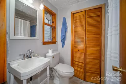 361 Rainbow Lake Drive, Brevard, NC 28712 - Photo 12