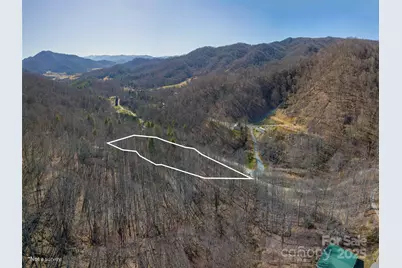 99999 Gibson Branch Road, Clyde, NC 28721 - Photo 2