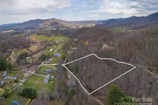 99999 Molasses Way, Waynesville, NC 28785 - Photo 1