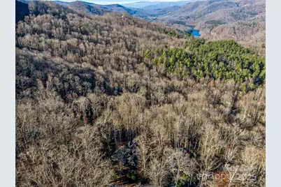 298 Hedgewood Drive, Tuckasegee, NC 28783 - Photo 38