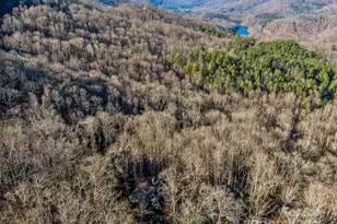 298 Hedgewood Dr, Tuckasegee, NC 28783 - Photo 38