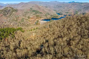 298 Hedgewood Dr, Tuckasegee, NC 28783 - Photo 36