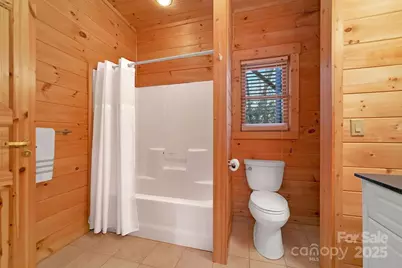 116 Wahuhu Court, Brevard, NC 28712 - Photo 38