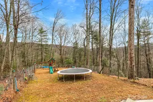 1239 Lower Loop Dr, Fletcher, NC 28732 - Photo 24