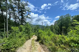 3606 Nc Hwy 194 None S, Sugar Grove, NC 28679 - Photo 10