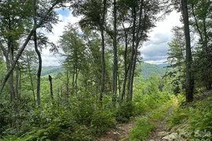 3606 Nc Hwy 194 None S, Sugar Grove, NC 28679 - Photo 22