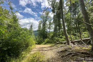 3606 Nc Hwy 194 None S, Sugar Grove, NC 28679 - Photo 20