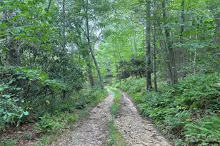 3606 Nc Hwy 194 None S, Sugar Grove, NC 28679 - Photo 36