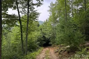 3606 Nc Hwy 194 None S, Sugar Grove, NC 28679 - Photo 34