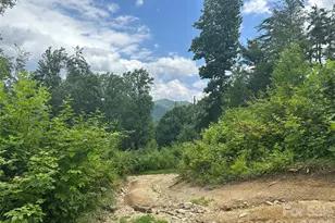 3606 Nc Hwy 194 None S, Sugar Grove, NC 28679 - Photo 16