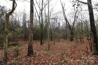3+/-Ac Eaker Road #LOT 7, Kings Mountain, NC 28086 - Photo 4